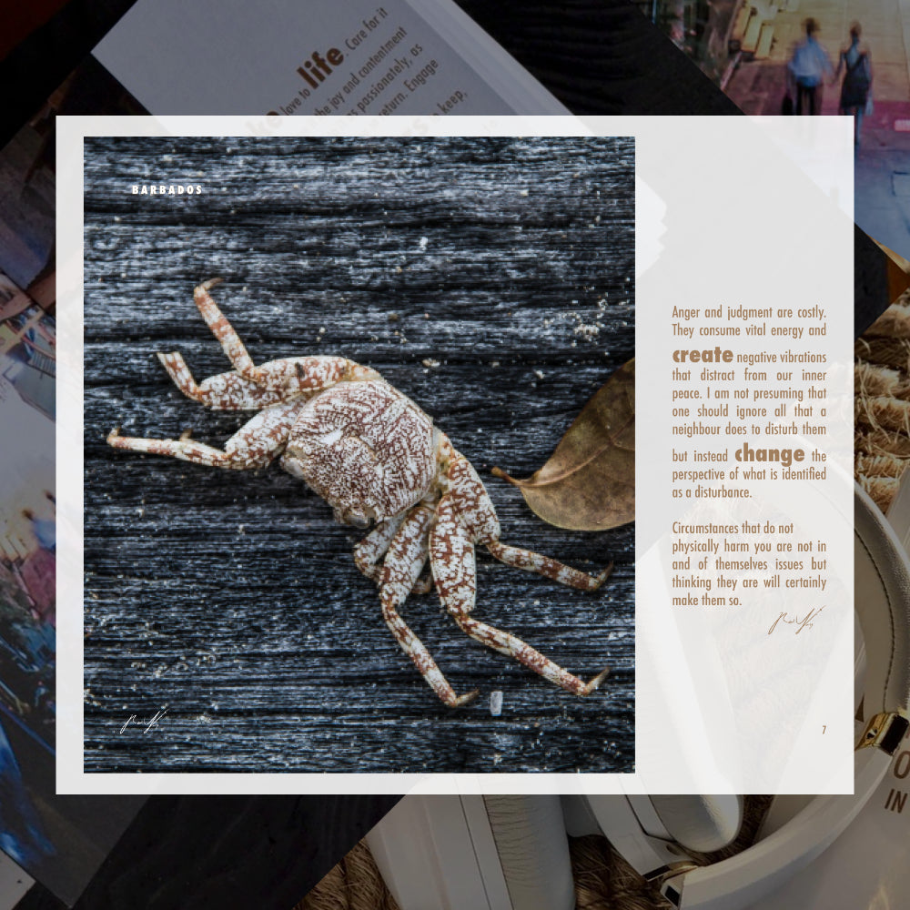 Daily Inspiration - The eBook