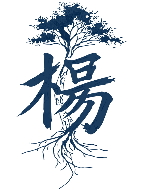 YOUNG PORTFOLIO STORE